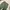 Minimalist Casual Casual trouser Wanita green photo 2