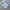 Nike Y2K Sportswear Windbreaker Pria white photo 6