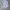 Nike Y2K Sportswear Windbreaker Pria white photo 8