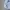 Nike Y2K Sportswear Windbreaker Pria white photo 3