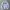 Nike Y2K Sportswear Windbreaker Pria white photo 1