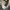 Streetwear Casual Fur coat Pria gray photo 1