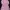 Coquette Casual Blouse Wanita pink photo 1