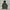 Issey Miyake Futurist Hoody Wanita multicolor gray photo 1