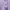 Crop Top Wanita Purple White
