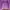 Crop top Wanita purple white photo 4