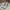 Converse Casual Sneakers Wanita white tan photo 2