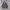 Casual Cardigan Pria gray photo 1