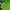 Nike Air Jordan 5 Retro "Green Bean" photo 9