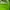 Nike Air Jordan 5 Retro "Green Bean" photo 8