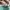 Adidas Casual Sneakers Pria white tan photo 4