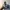 Adidas Luxury Casual Sneakers Pria white gray photo 5