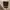 GAP Casual Formal shirt Pria white photo 3