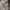 Barbour quilted jacket luxury photo 9
