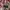 Barbour quilted jacket luxury photo 4