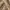 Vintage Y2K Skirt Wanita brown photo 5