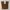 Grunge Fairy Wide leg jeans Wanita brown photo 2