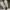 Nike Indie Casual Sneakers Pria white photo 6