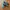 Atmos Sportswear Casual Sneakers Pria blue photo 1