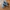 Atmos Sportswear Casual Sneakers Pria Blue