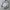 Wilson Streetwear Sportswear Windbreaker Pria white photo 4