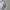 Wilson Streetwear Sportswear Windbreaker Pria white photo 3