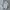 Wilson Streetwear Sportswear Windbreaker Pria white photo 1
