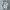 Wilson Streetwear Sportswear Windbreaker Pria White