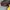 Sportswear Track jacket Pria black yellow photo 6
