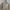GAP Streetwear Y2K Hoody Pria tan photo 3