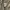 GAP Streetwear Y2K Hoody Pria tan photo 4
