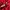 DogTown Vintage Skater T-shirt Pria red photo 5