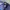 Nike Skater Sportswear Hat Pria purple blue photo 5