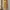 Daster Mini Dress Yellow

 photo 2