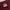 Japanese brand Vintage Indie T-shirt Pria burgundy photo 5