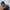 Salvatore Ferragamo Luxury Sneakers Pria navy photo 7