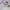 Yves Saint Laurent YSL Luxury Sneakers Pria navy photo 7