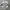 Vintage Cardigan Pria gray photo 1