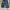 Casual Short Kids blue photo 2