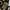Quiksilver Vintage Y2K Hat Pria brown photo 1