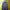 The North Face Gorpcore Track jacket Pria gray photo 4