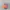 Zephyr D'Urban Vintage Sportswear Hat Pria orange gray photo 1