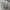Converse Casual Sneakers Pria white photo 6