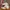 Converse Casual Sneakers Pria white photo 1