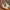 Converse Casual Sneakers Pria white photo 2