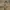 H&M Casual Culotte Wanita tan cream photo 3