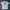 Stussy Vintage Streetwear T-shirt Pria white black photo 2