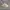 Adidas yeezy boost 350 v2 cloud white non reflective
 photo 2