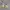 Adidas yeezy boost 350 v2 cloud white non reflective
 photo 4