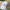 Polo Ralph Lauren Vintage Hat Pria white photo 1